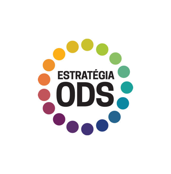 Fortalecimento da Rede Estratégia ODS