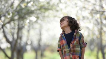 Adultização infantil: o que é o termo denunciado por Felca, influencer que viralizou na internet