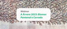Educação em pauta no próximo webinar da Fundação Abrinq
