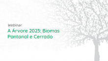 Confira como foi o webinar A Árvore 2023: Biomas Pantanal e Cerrado
