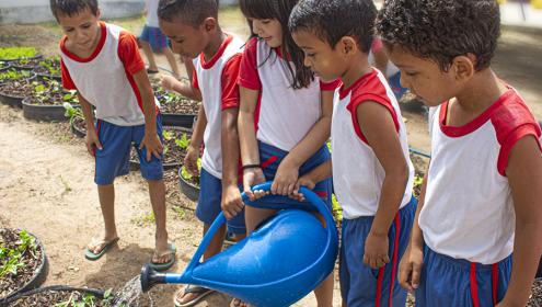 Crianças aprendem na prática sobre alimentação saudável cuidando de hortas pedagógicas