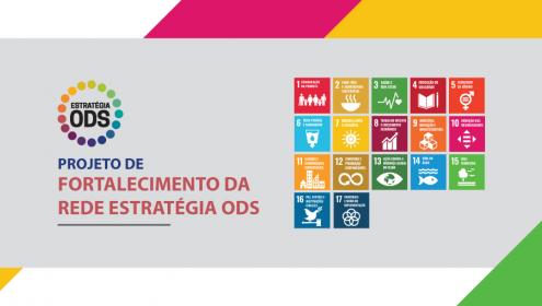 Veja os resultados do Projeto de Fortalecimento da Rede Estratégia ODS que encerrou neste mês