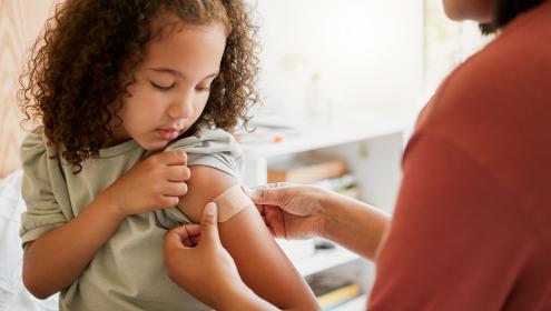 Dengue: vacinação e como proteger as crianças
