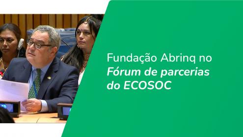 Fundação Abrinq participa de evento da ONU, em Nova Iorque