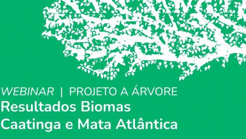 Fundação Abrinq celebra os resultados do Projeto A Árvore nos biomas Caatinga e Mata Atlântica