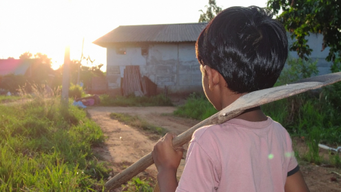 Criança em situação de trabalho infantil no campo
