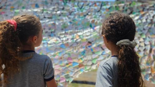 Projeto A Árvore encerra ciclo de quatro anos com mais de 158 mil estudantes sensibilizados em todo o Brasil