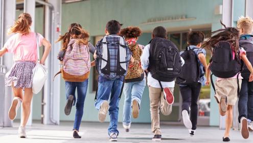 Saúde mental dos adolescentes: o que os dados do IBGE mostram sobre um direito previsto em lei