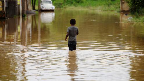 ECA Ambiental: entenda os detalhes da Lei nº 15.512