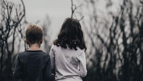 O dia a dia da violência sexual: organizações trocam experiências sobre a rotina de quem atende crianças e jovens 