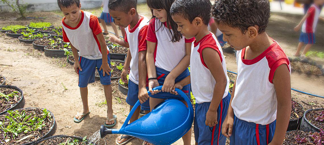 Crianças aprendem na prática sobre alimentação saudável cuidando de hortas pedagógicas