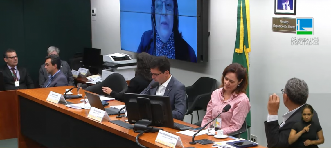 Fundação Abrinq participa de Seminário Biênio da Primeira Infância