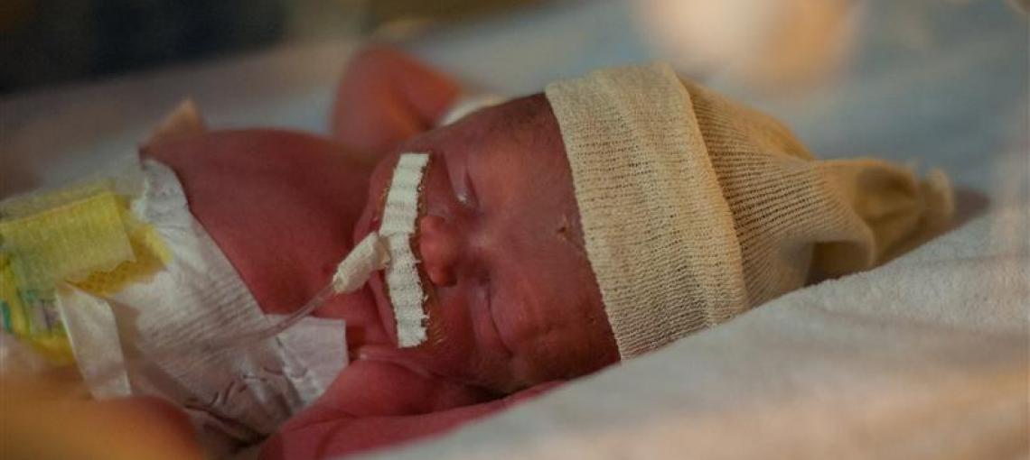 Bebê recém nascido 