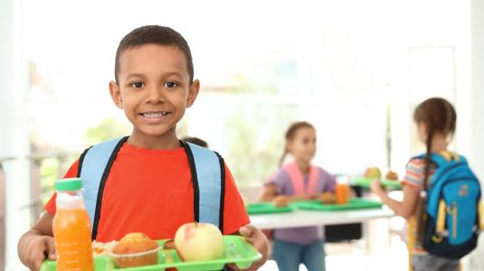 Projeto Nutrição